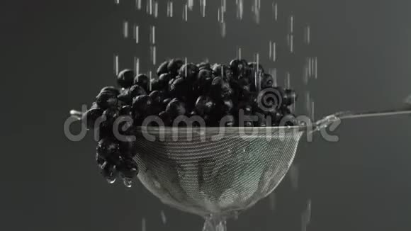 在视频中我们看到葡萄在筛子中水从顶部开始在单个喷射然后停止灰色的背景视频的预览图