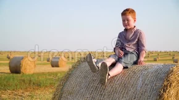 一个红头发的男孩坐在麦田上的草包上视频的预览图