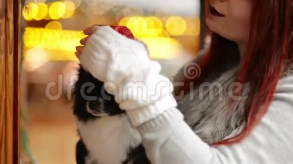 圣诞老人圣诞老人戴圣诞帽可爱的狗她的狗看起来很高兴视频的预览图