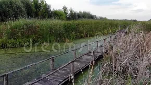 在夏季的杰格里卡沼泽和自然公园的木板路伏伊伏丁那塞尔维亚欧洲视频的预览图