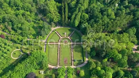明斯克贝拉鲁斯五月2019年空中无人机拍摄城市植物园绿色的树木和草从上面视频的预览图