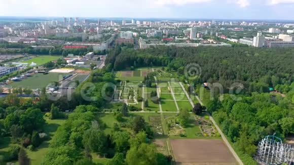明斯克贝拉鲁斯五月2019年空中无人机拍摄城市植物园绿色的树木和草从上面视频的预览图