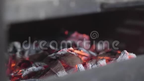 在燃烧的火焰上准备烧烤的热煤已经准备好烤肉和其他食物关门视频的预览图