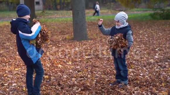 两个弟弟在秋天公园玩黄叶游戏慢动作视频的预览图