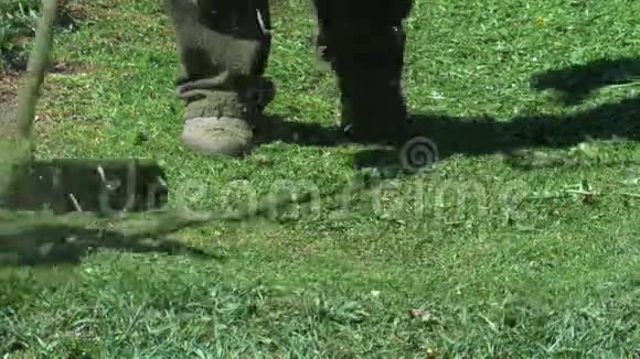 男用电动工具串割草机视频的预览图
