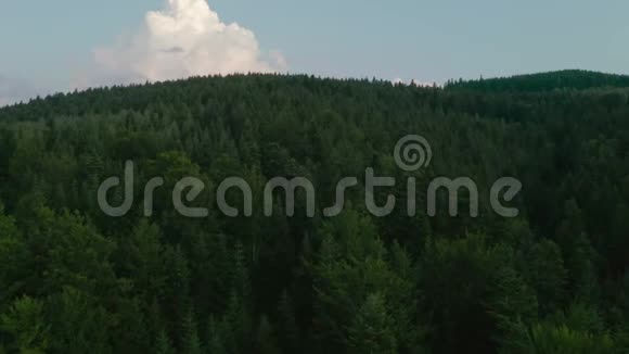 乌克兰喀尔巴阡山脉空中视频拍摄飞越针叶树顶端视频的预览图
