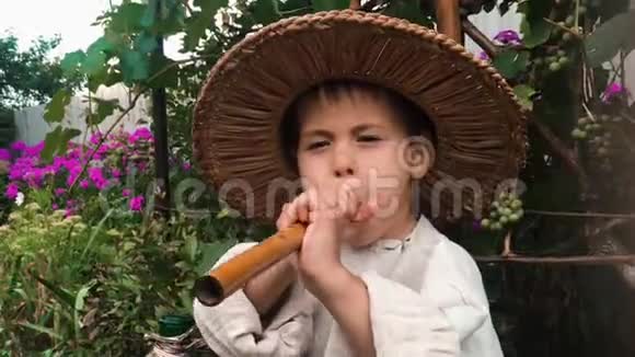 有趣的小孩子戴着草帽试图在背景上用绿色花园吹笛子快乐男孩演奏音乐乐器视频的预览图
