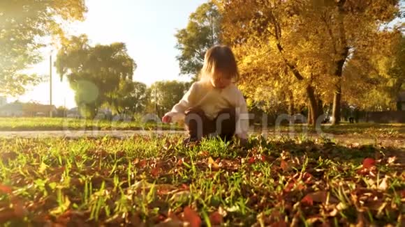 小孩子在公园的草坪上玩耍看着秋天公园里的黄叶被温暖的阳光照亮视频的预览图