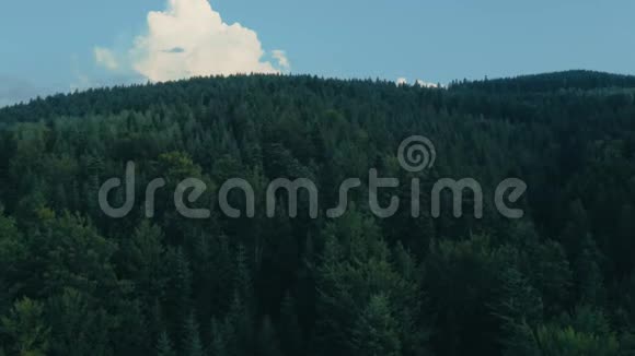 乌克兰喀尔巴阡山脉空中视频拍摄飞越针叶树顶端视频的预览图