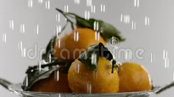 在视频中我们看到橘子它们是折叠的幻灯片水从顶部下降在最后视频的预览图