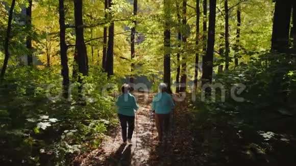 北欧森林中老年妇女步行视频的预览图