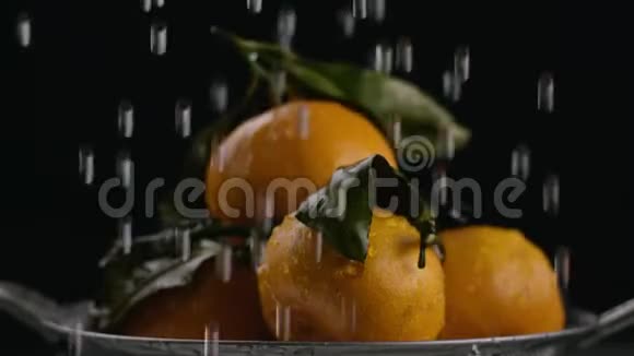 在视频中我们可以看到橘子水滴滴在橘子上而不是水停止背景视频的预览图