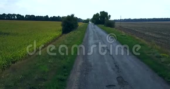 耕地与绿地之间的美丽乡村道路视频的预览图