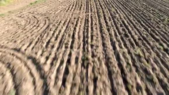 空中向后飞行的视野在农田犁地和犁沟吸引干燥的土地视频的预览图