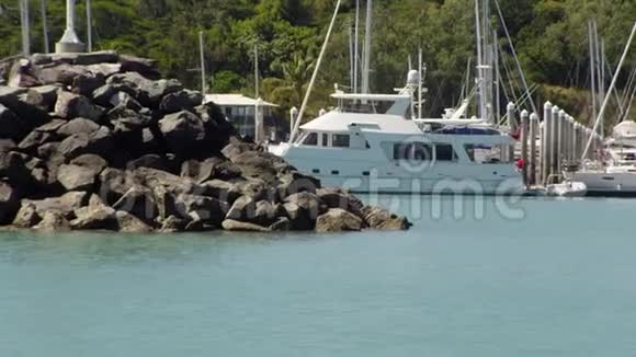 码头有游艇和其他船只视频的预览图