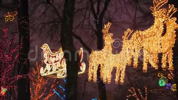 圣诞照明圣诞老人在公园的树梢上和鹿一起睡视频的预览图