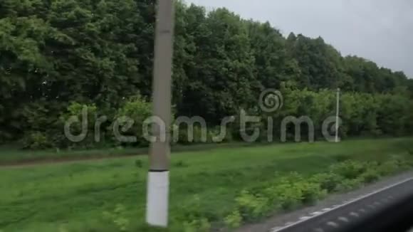从火车窗口的森林树木视频的预览图