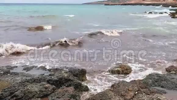 海边的脏水视频的预览图
