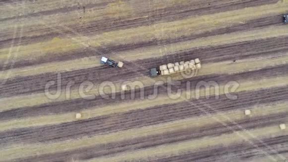 农用拖拉机在农田上装载干草堆视频的预览图