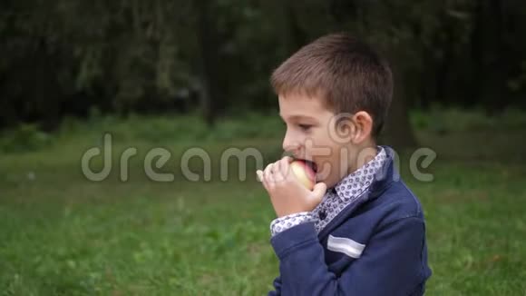 一个小男孩咬着苹果微笑慢动作4k视频的预览图