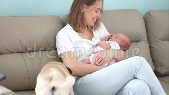 成熟的母亲抱着一个新生的婴儿坐在沙发上附近有家狗北京人还有视频的预览图