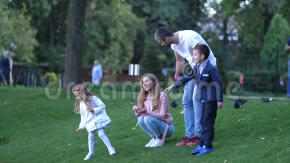 幸福的年轻家庭父亲儿子母亲和女儿用面包喂公园里的鸟4k慢动作视频的预览图