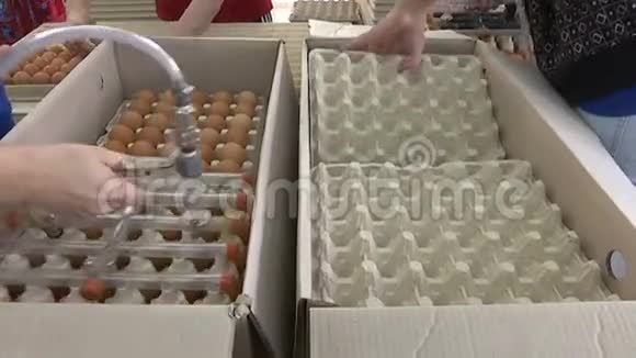 工厂生产鸡蛋视频的预览图