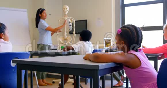 亚洲女教师讲解4k教室骨架模型视频的预览图