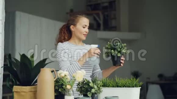 开朗的家庭主妇用喷雾器浇绿植物拿着花盆微笑着站在美丽的灯光下视频的预览图