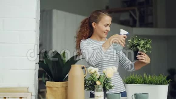 微笑的年轻女子用喷雾器喷洒绿色植物和水这是现代阁楼风格的近桌视频的预览图