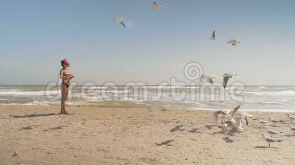 戴着红帽子的美女在海边喂海鸥视频的预览图