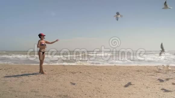 穿比基尼的美女在海边扔海鸥面包视频的预览图