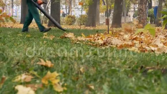 人用吹叶器吹秋叶落叶清理中期计划视频的预览图
