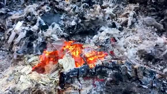 燃烧着红色的煤吹着风拍摄了特写镜头火的灰烬散落在手中慢动作开火视频的预览图