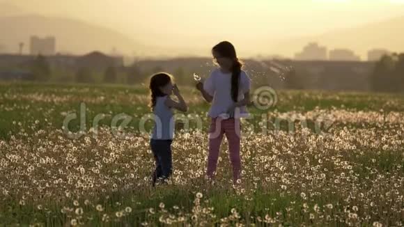 两个小妹妹收集蒲公英的花并在风中吹小女孩在户外玩得开心回来视频的预览图