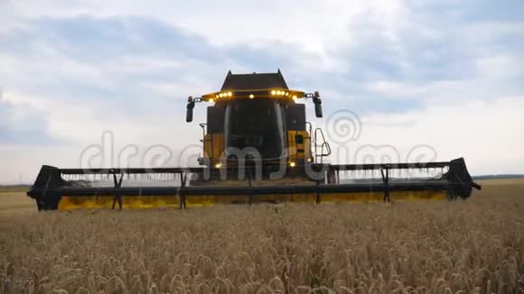 农村成熟小麦的现代联合收割收割机慢慢地穿过田野切割着树干视频的预览图