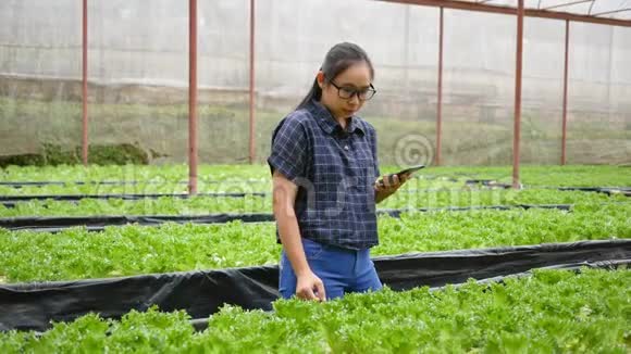 在温室里工作的亚洲农民妇女查找农场里正在生长的沙拉苗和温室里的疾病的数据视频的预览图