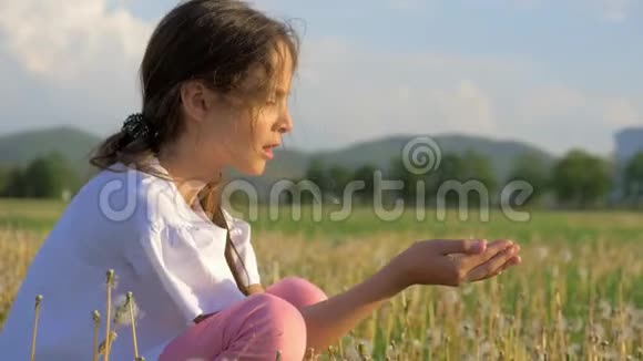 小女孩在日落或日出时吹蒲公英种子在公园里放松飞籽柳絮粒子春视频的预览图