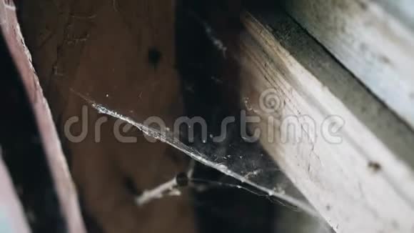 旧房子的一角长满了蜘蛛网视频的预览图