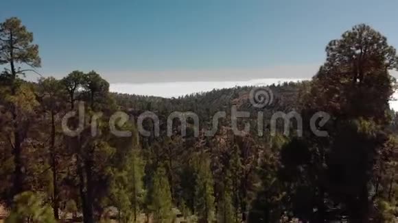 空中射击在前景的树木之间在群山和绿松林之间前进视频的预览图
