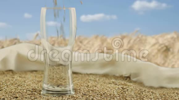 将大麦麦芽倒入啤酒杯中制成酒精饮料威士忌自然概念和创造视频的预览图