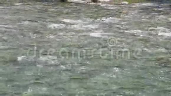 水在河里流动太阳在水中的反射放松和平静的环境视频的预览图