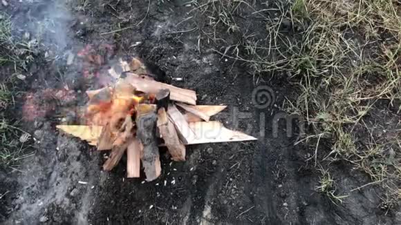 在森林里野餐时一场小火燃烧视频的预览图