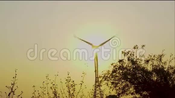 风车涡轮轮廓利用环保绿色清洁能源在戏剧性的日落日出视频的预览图