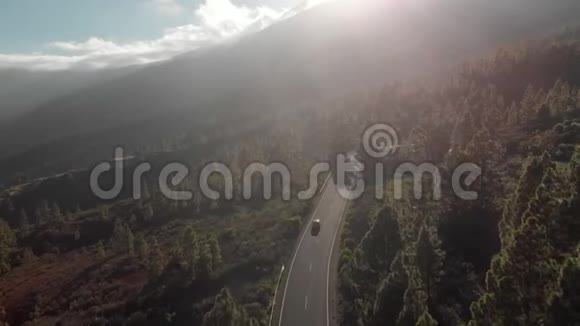 空中射击日落时汽车沿着山路行驶周围是一片绿松林西班牙加那利视频的预览图