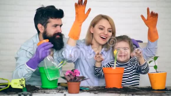 园艺的概念家庭在游戏形式种植和浇水一个小男孩和他的父母给花浇水视频的预览图