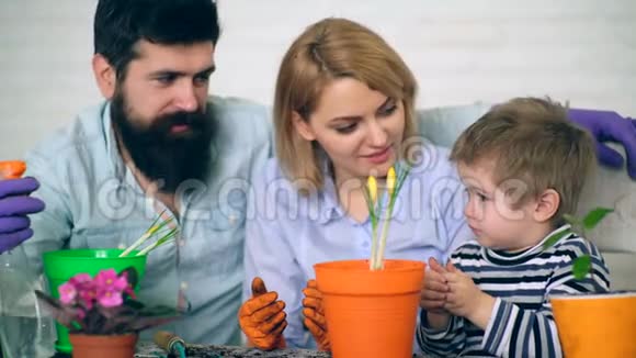 母亲和父亲教儿子如何在花盆里种花种花理念视频的预览图