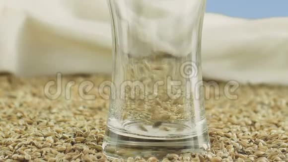 以麦芽和小麦为原料以酿造和含酒精饮料为背景的啤酒杯视频的预览图
