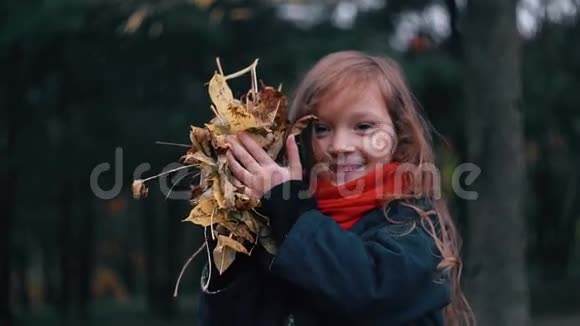 有趣的欢快的可爱的小女孩特写镜头收集黄色的秋叶把它们抛起来看镜头慢镜头视频的预览图