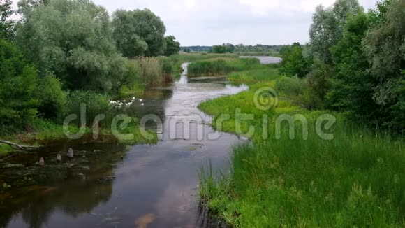乌克兰中部波塔夫斯克州科洛马克小河夏季景观视频的预览图